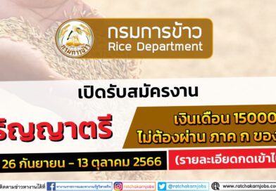 กรมการข้าว รับสมัครงาน ป.ตรี ทุกสาขา / ไม่ต้องผ่าน ภาค ก ของ กพ. / เงินเดือน 15000 / สมัคร  26 กันยายน – 13 ตุลาคม 2566