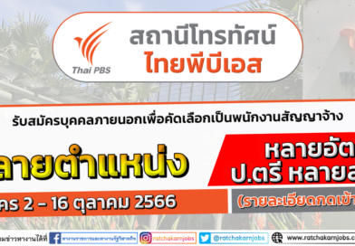 สถานีโทรทัศน์ไทยพีบีเอส Thai PBS รับสมัครบุคคลภายนอกเพื่อคัดเลือกเป็นพนักงานสัญญาจ้าง / หลายอัตรา หลายตำแหน่ง / ป.ตรี หลายสาขา/ สมัคร 2 – 16 ตุลาคม 2566